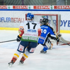 BRUNNER 2010-11
