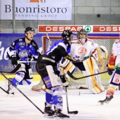 www.brunner-fotowelt.com