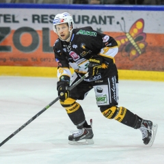 BRUNNER 2010-11