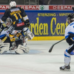BRUNNER 2010-11