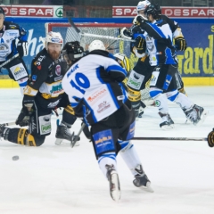 BRUNNER 2010-11