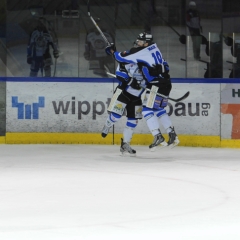 BRUNNER 2010-11