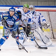 BRUNNER 2010-11