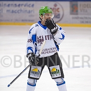 BRUNNER 2010-11