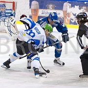 BRUNNER 2010-11