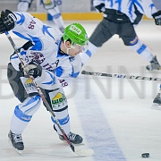 20101128-DSC 4183